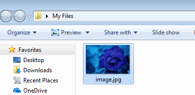 A file in a folder